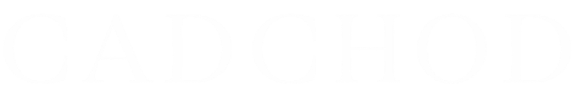 cadchod logo